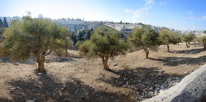 Jerusalem Old City from Tel Aviv - The Christian Quarter and Via Dolorosa