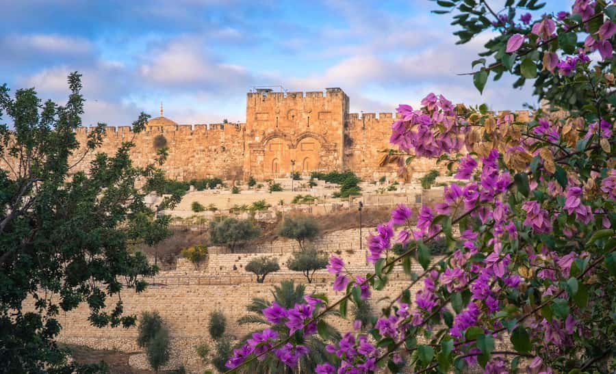Jerusalem: Old City Morning Tour - How much value do you get for $39?