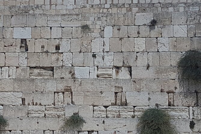 Jerusalem Private Full Day Tour - St. Stephen, the walls, and Mount Zion