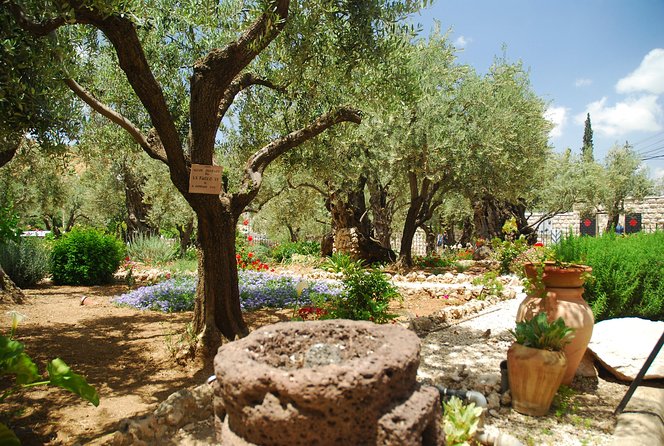 Jerusalem Walking Tour: In the Footsteps of Jesus - Who will get the most from this tour