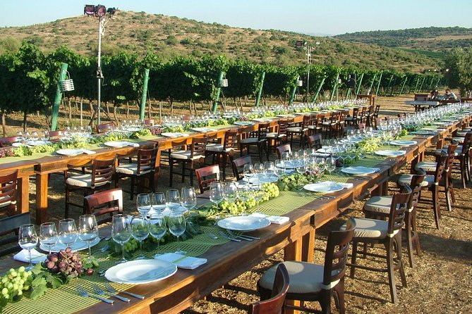 Judean Hills Wine Tasting Tour From Tel Aviv - Why the Judean Hills make a good half-day escape