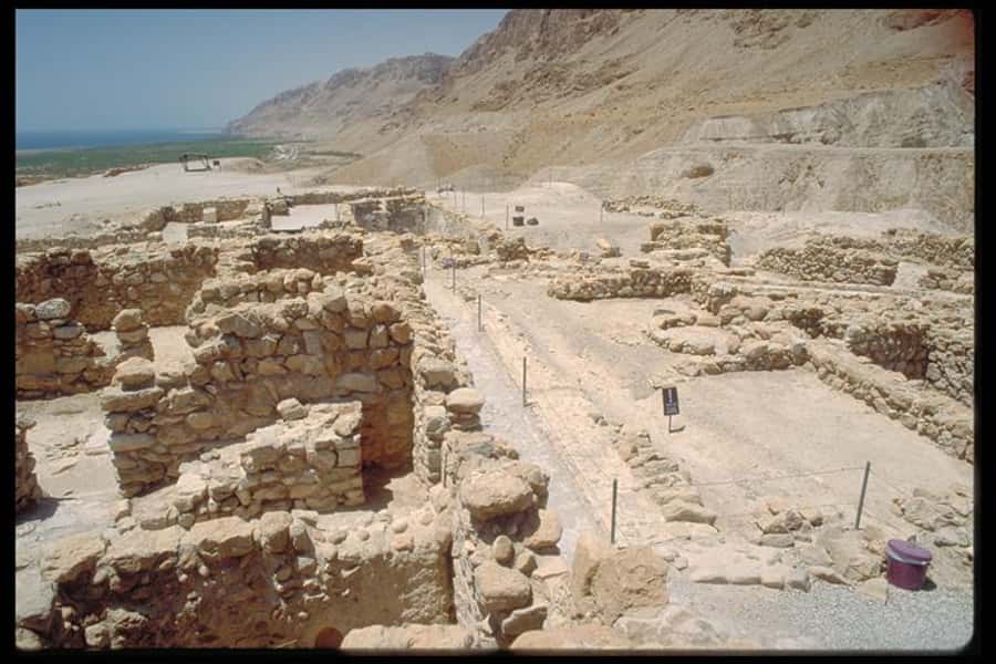 Masada Dead Sea: Small Group Tour from Tlv INCL. ENTRY FEES - The Judean Desert Drive
