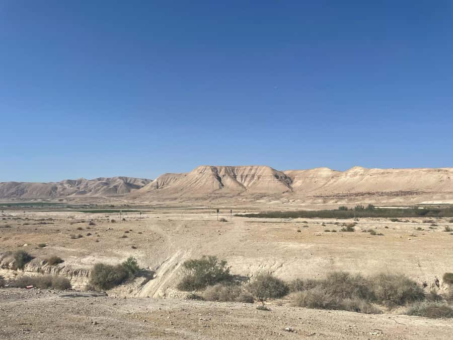 Masada Dead Sea: Small Group Tour from Tlv INCL. ENTRY FEES - The Guides Make the Difference
