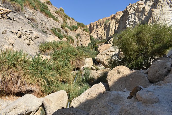 Masada, Ein Gedi, and The Dead Sea from Tel Aviv - The Dead Sea: Floating, Mud, and Practical Beach Time