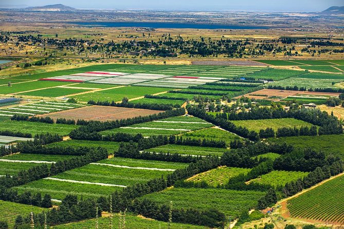 Nazareth and the Sea of Galilee Day Trip from Jerusalem - Mount Tabor is a passing view, not a full visit