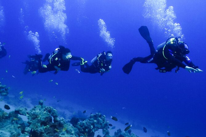 PADI Open Water Diver Course - 5 Days Scuba Diving - Six open-water sessions on the Red Sea reef