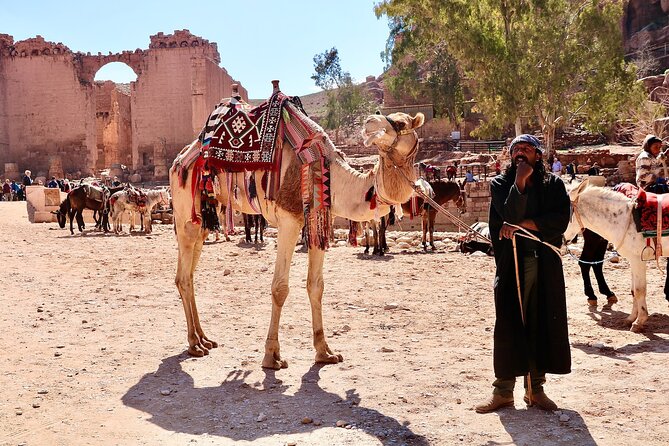 Petra 1-Day Tour from Tel Aviv with FREE Authentic Lunch - Djinn Blocks, Obelisk Tomb, and the wider site
