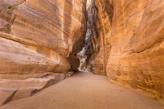 Petra and Wadi Rum 2 day Tour from Eilat - Is $350 good value for the experience?