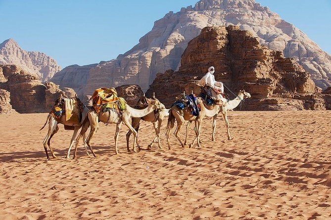 Petra & Wadi Rum 3 Days 2 Tour Nights from Eilat border - Service, guides, and the private format