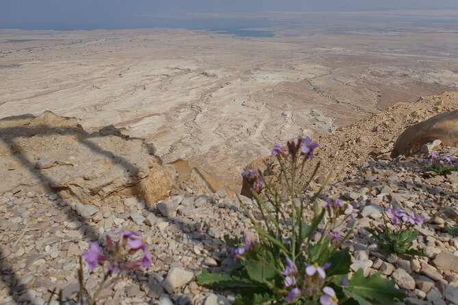 Private Day Tour in Masada and the Dead Sea - Why this private Jerusalem day works