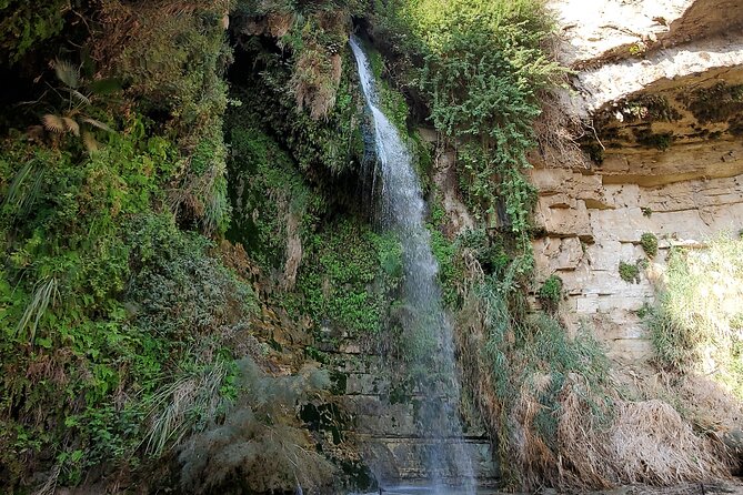 Private Day Tour in Masada and the Dead Sea - The guide can make or break the day