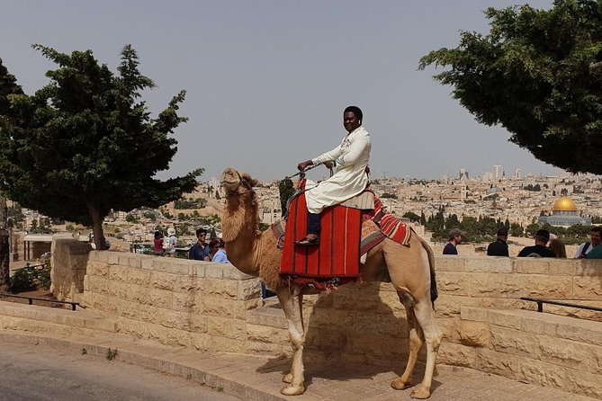 Private day trip to the Old City of Jerusalem - Garden of Gethsemane and the Church of All Nations