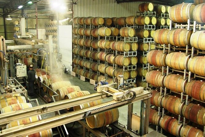 Private Israeli Wines Tour of the Central Israel - Why Carmel makes a good wine outing from Tel Aviv