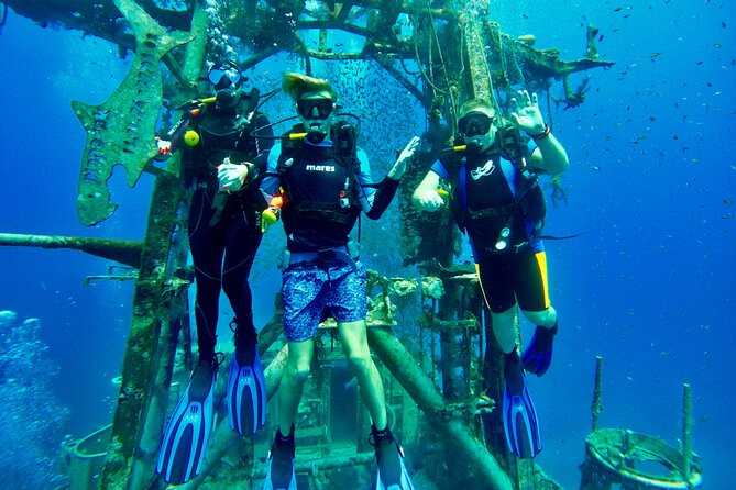 Private Scuba Diving Tour with Transportation and Guide - Why a private Eilat outing makes sense