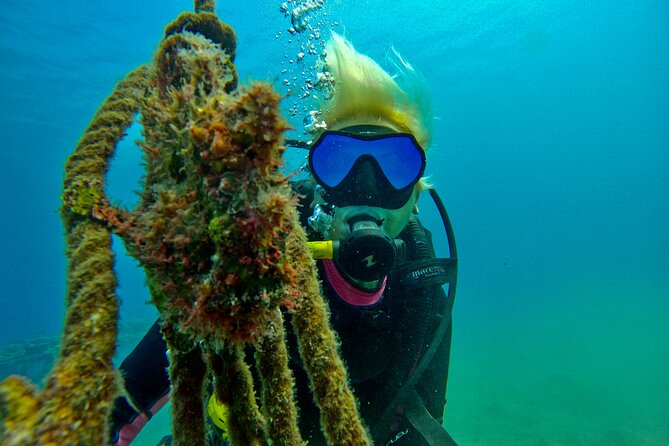Private Scuba Diving Tour with Transportation and Guide - Stefan’s role for beginners and returning participants