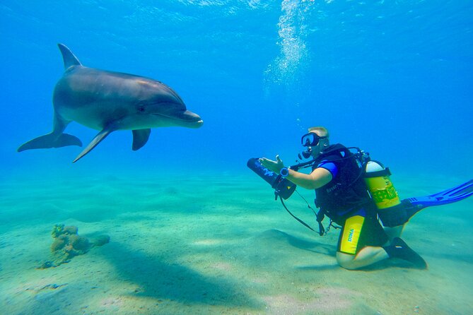 Private Scuba Diving Tour with Transportation and Guide - Equipment, transportation, and what the price covers
