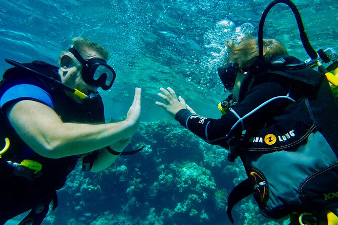 Private Scuba Diving Tour with Transportation and Guide - Who should choose this experience