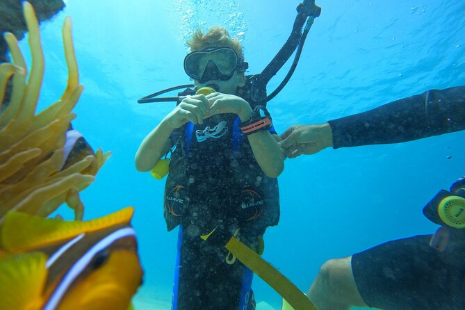 Private Scuba Diving Tour with Transportation and Guide - Practical details for planning your day