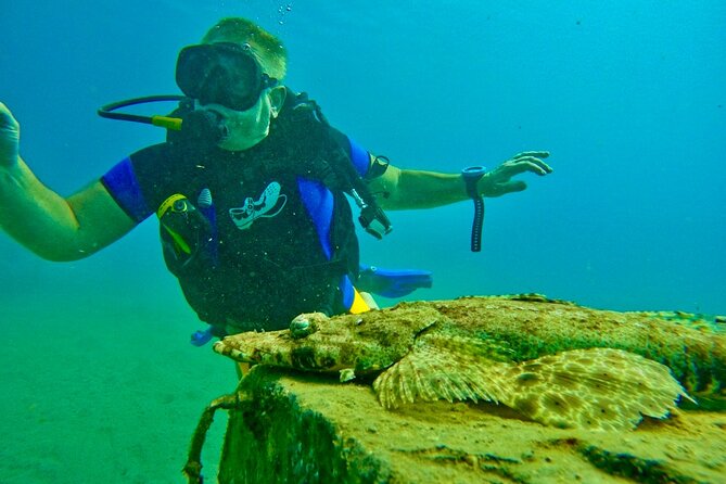 Private Scuba Diving Tour with Transportation and Guide - Should you book the Eilat scuba tour?