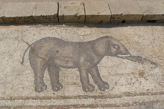 Private tour: Caesarea, Haifa, and Mt. Carmel - Caesarea’s Roman theater and Herod’s coastal palace