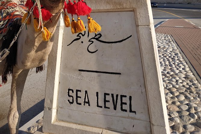 Private Tour: Dead Sea and Masada - Sea Level Point: a quick stop with useful context