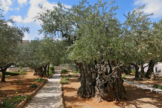 Private Tour : Jerusalem Old city day trip from Jerusalem - Why a private Jerusalem day makes sense