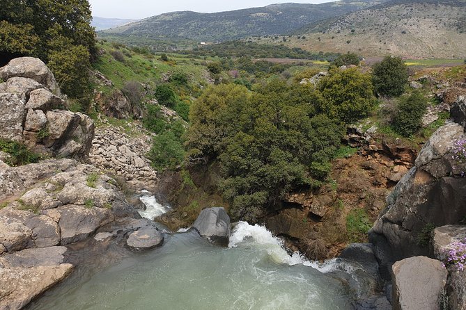 Private tour of the Israeli Far North - Tel Dan, Banias Reserve & Waterfall - Banias Waterfall: the day’s most direct visual payoff