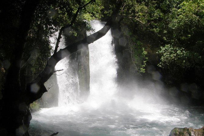 Private tour of the Israeli Far North - Tel Dan, Banias Reserve & Waterfall - Who will enjoy this day most?