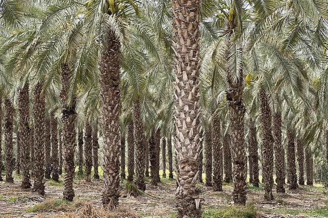 Private Tour to Nazareth & Sea of Galilee & Jordan River Yardenit - Exclusive - Yardenit and the Jordan River baptism option