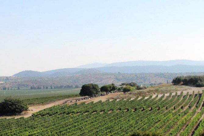 Private wine tour of Northern Israel - Five things to know before you book