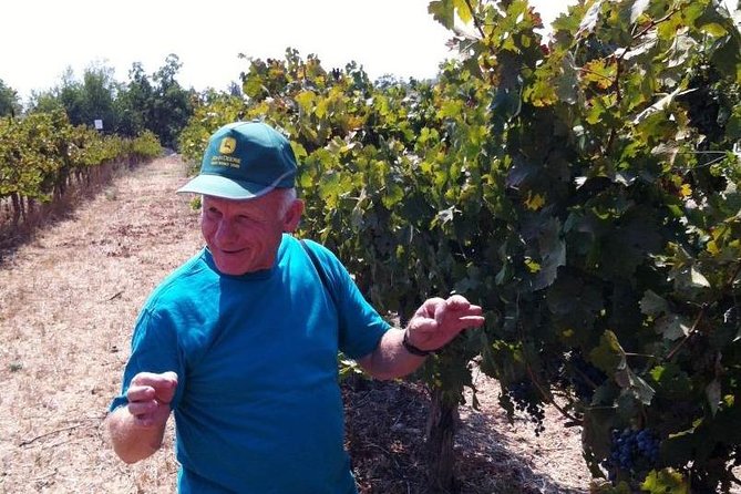Private wine tour of Northern Israel - Leaving Tel Aviv for Israel’s northern wine country