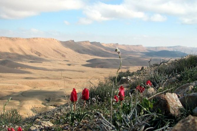 Ramon Crater Jeep Tour from Mitzpe Ramon - What the guide adds to the ride