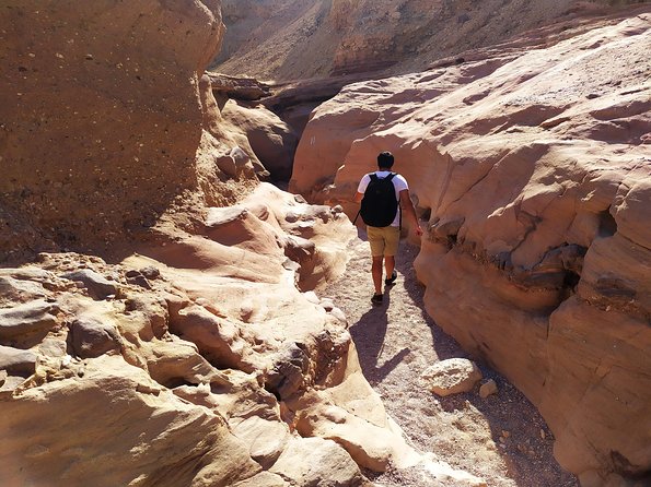 Red canyon jeep tour in Eilat - Price, group size, and overall value