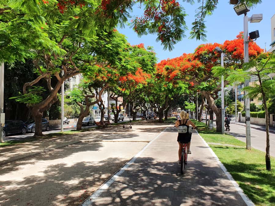 Tel Aviv 3-Hour Easy Bike Tour - The guide makes the difference