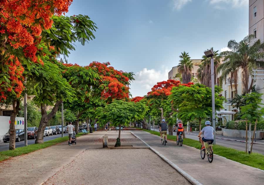 Tel Aviv: Carmel Market & Tel Aviv Tour with Tastings - Park HaMesila brings old routes into a modern city