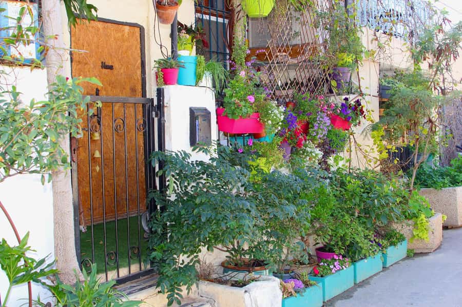 Tel Aviv: Florentin Saturday Walking Tour - Is $69 a fair price for three hours?