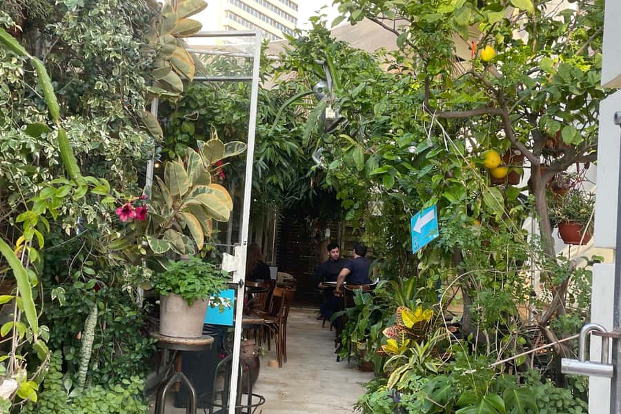 Tel Aviv: Neve Tzedek Cultural Walking Tour - Shabazi Street’s shops, galleries, and studios