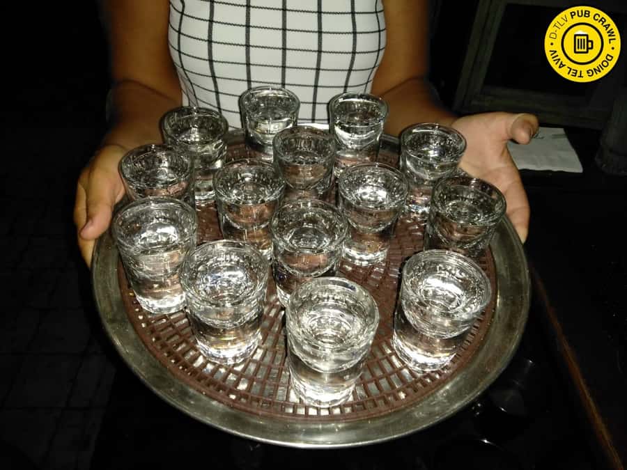 Tel Aviv: Pub Crawl and Nightlife Tour with Shots - Should you book the Tel Aviv pub crawl?