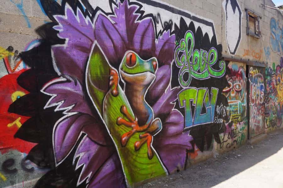 Tel Aviv: Street Art and Graffiti Tour - HaMesila Park: a different angle on urban art