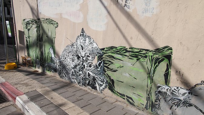 Tel Aviv Street Art Tour - Why Florentin is the right place to start