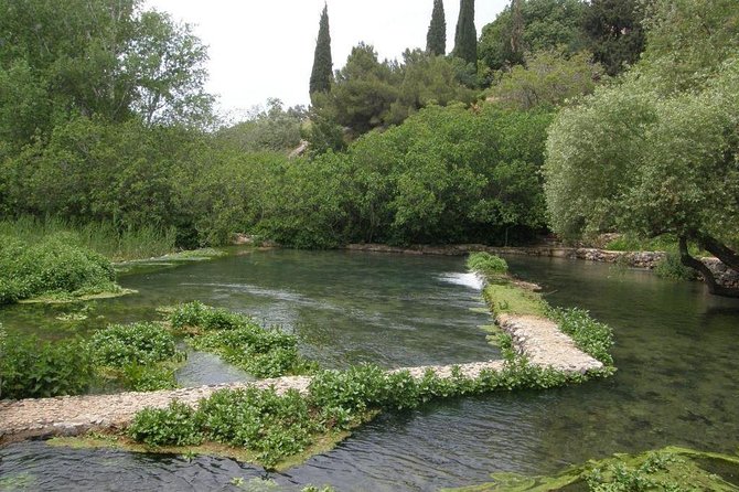 Tel Dan and Baniyas National Parks Private Tour - Why this northern journey is worth the long drive