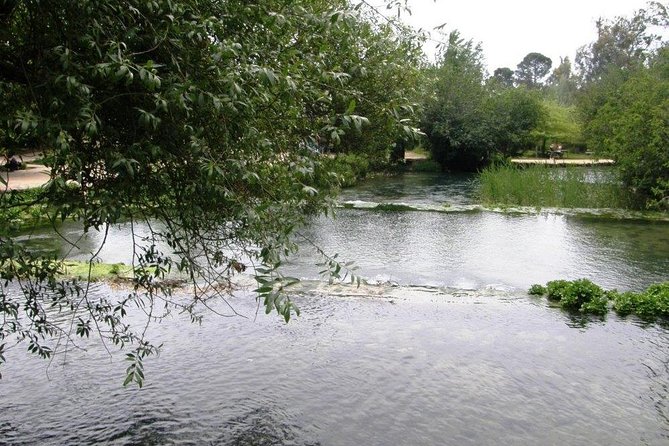 Tel Dan and Baniyas National Parks Private Tour - Three parks, three different kinds of history