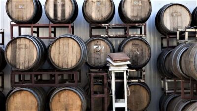 Wine Tour North of Israel from Tel Aviv